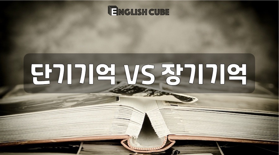 기억의 종류 - 단기기억과 장기기억